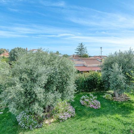 La Casa Degli Ulivi Appartamento In Villa Con Patio Quartu Sant'Elena Exterior photo